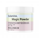 Очищувальна пудра для боротьби з чорними цятками і висипаннями Hollyskin Calamine Magic Powder
