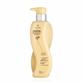 Шампунь для волосся з ромашкою Chamomile Sulfate Free Professional Shampoo Bogenia BG461 400 мл