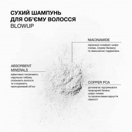 Сухий шампунь для об'єму волосся Blowup Triology 18 г
