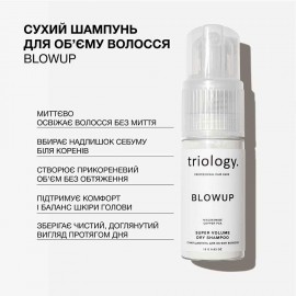 Сухий шампунь для об'єму волосся Blowup Triology 18 г