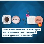 Гель для брів Neverti NP600